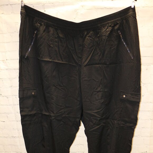 Plus size Lane Bryant flight pants - Picture 1 of 6
